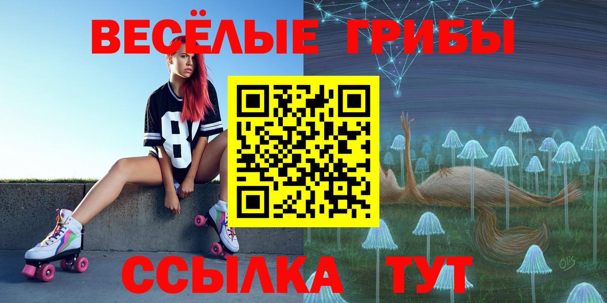 Галлюциногенные грибы Psilocybine cubensis Лыткарино