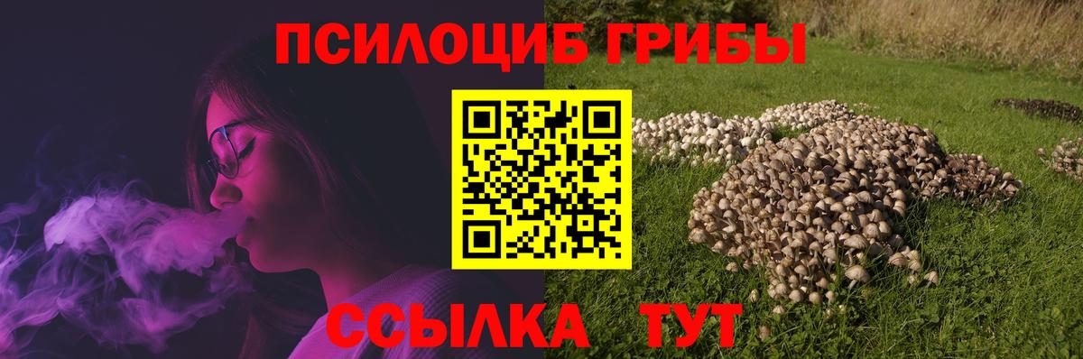 Лыткарино  Псилоцибиновые грибы Psilocybe  Вход с VPN 